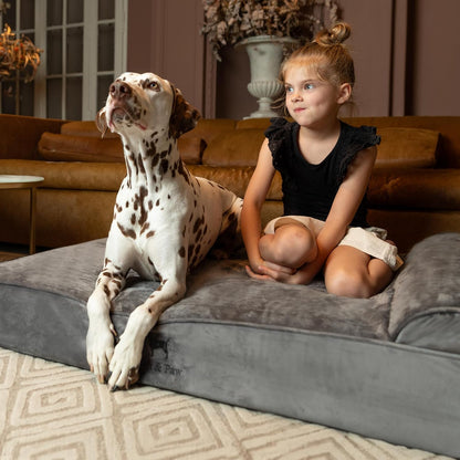 XL Dog Bed, 45x35x9.1 Inch, Orthopedic Large Dog Beds, Eggshell Memory Foam Infused with Cooling Gel, Water Resistant, Machine Washable, Includes Inner Cover