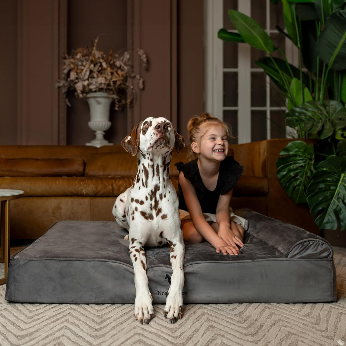 XL Dog Bed, 45x35x9.1 Inch, Orthopedic Large Dog Beds, Eggshell Memory Foam Infused with Cooling Gel, Water Resistant, Machine Washable, Includes Inner Cover