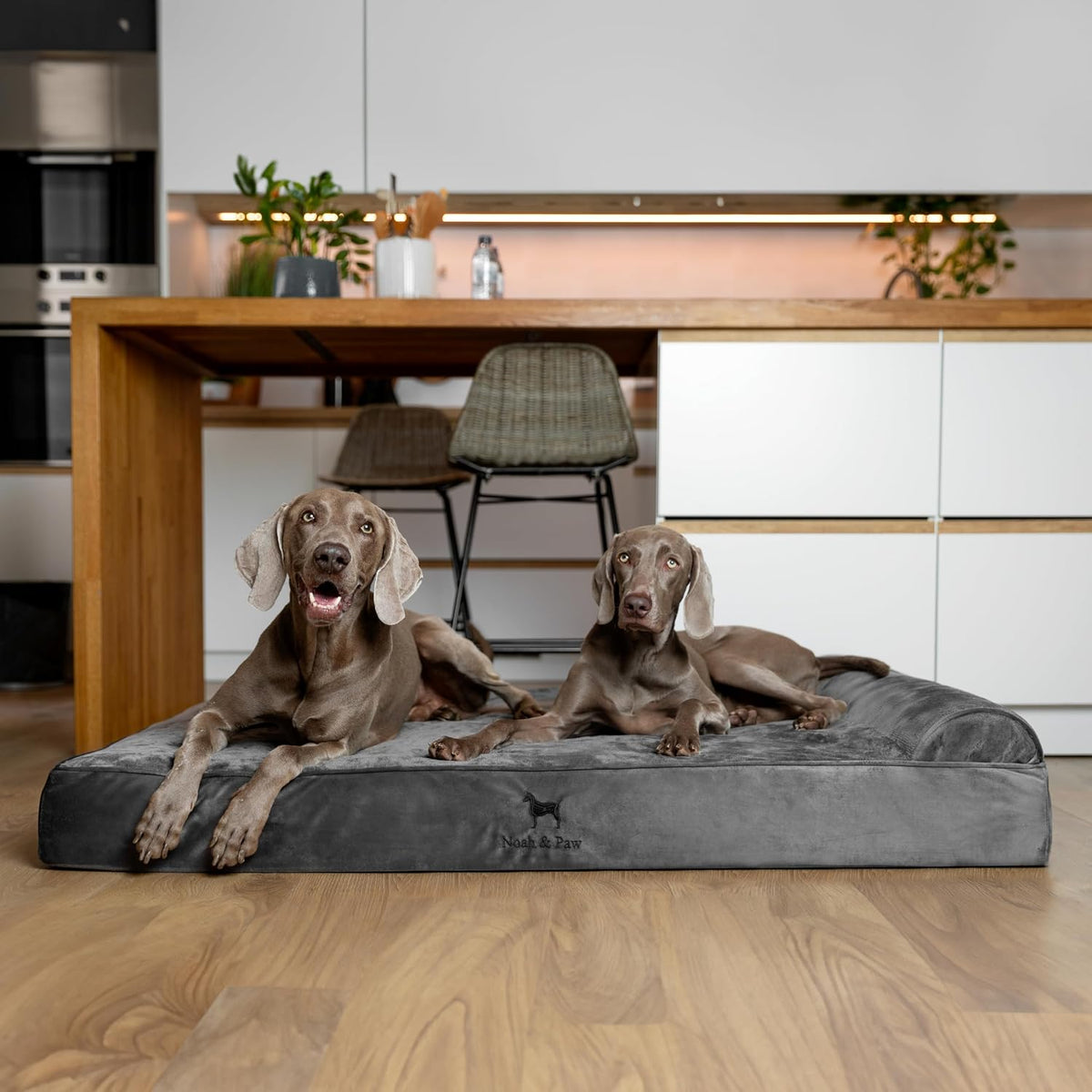 XL Dog Bed, 45x35x9.1 Inch, Orthopedic Large Dog Beds, Eggshell Memory Foam Infused with Cooling Gel, Water Resistant, Machine Washable, Includes Inner Cover