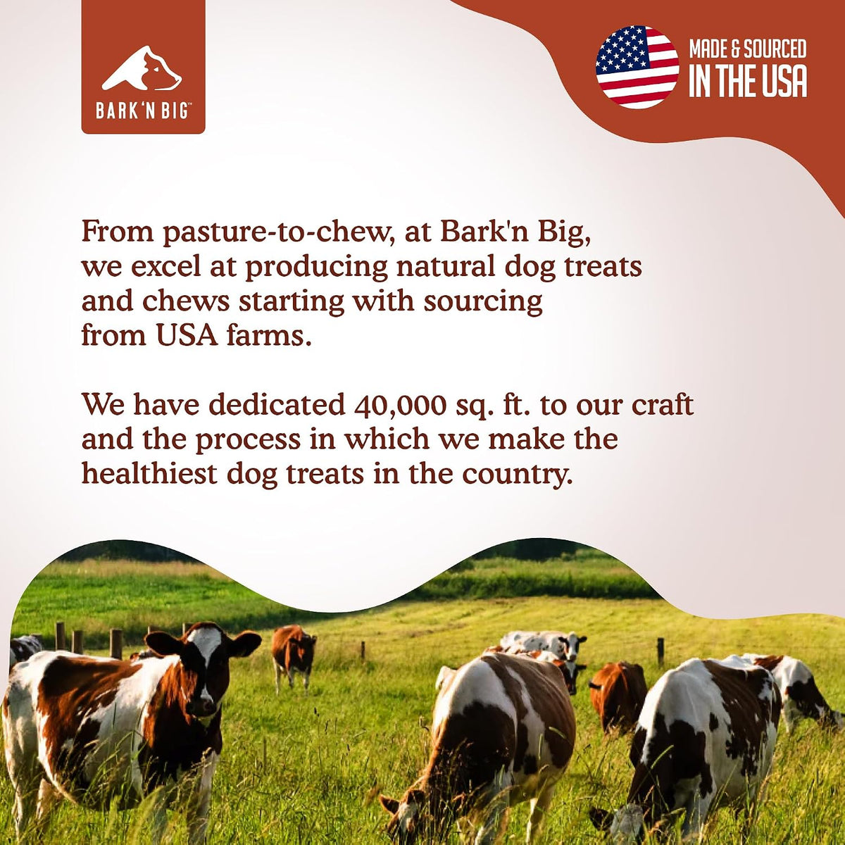 Bison Lung Dog Treats Single Ingredient Dehydrated