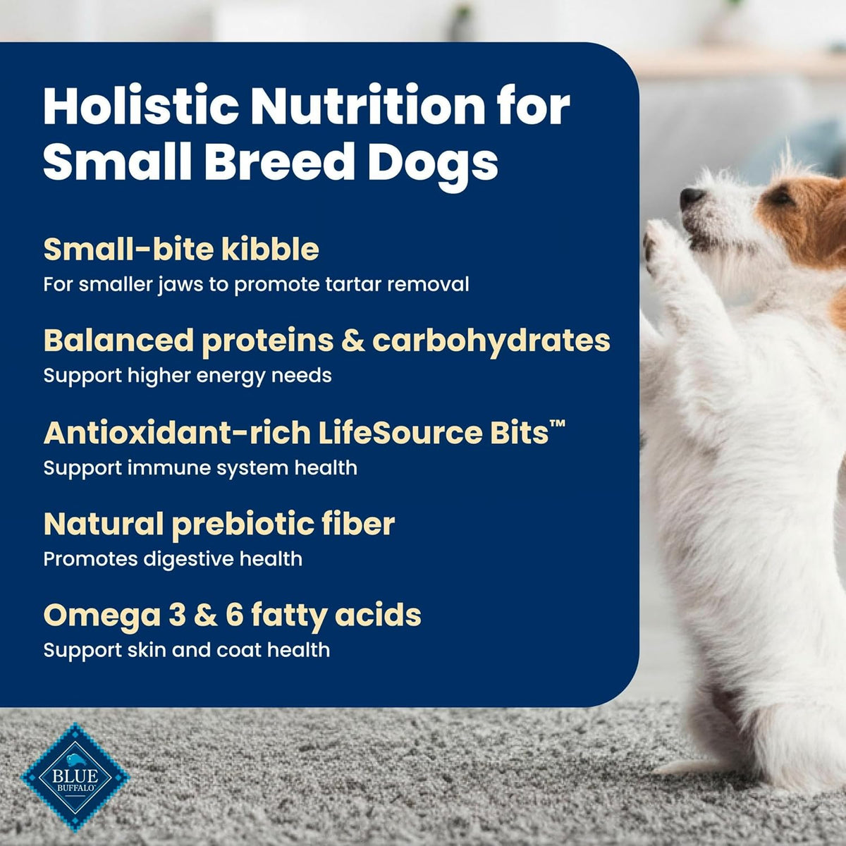Blue Buffalo Life Protection Formula Lamb Small Breed Dry Dog Food, 5 lb