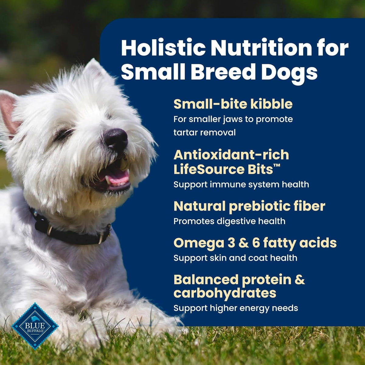 Blue Buffalo Life Protection Formula Lamb Small Breed Dry Dog Food, 5 lb