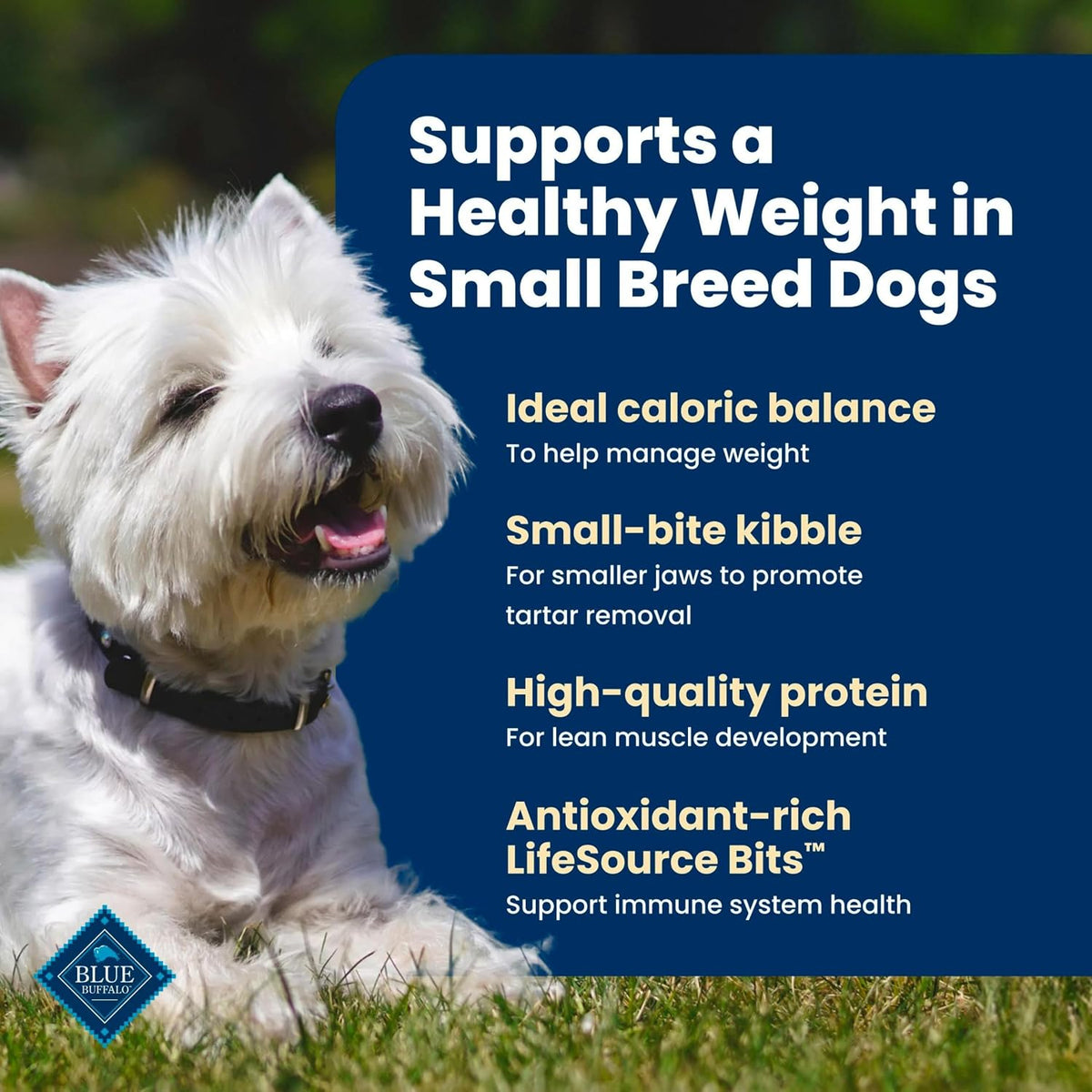 Blue Buffalo Life Protection Formula Lamb Small Breed Dry Dog Food, 5 lb