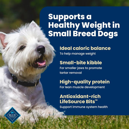 Blue Buffalo Life Protection Formula Lamb Small Breed Dry Dog Food, 5 lb