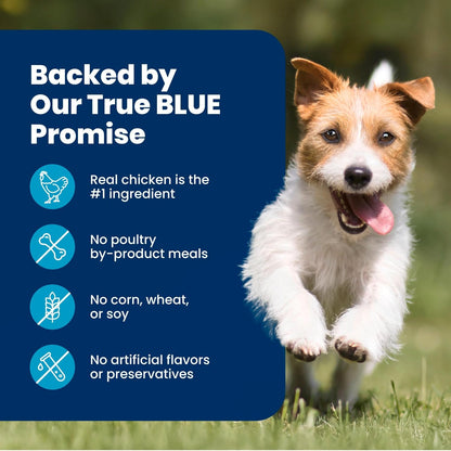 Blue Buffalo Life Protection Formula Lamb Small Breed Dry Dog Food, 5 lb