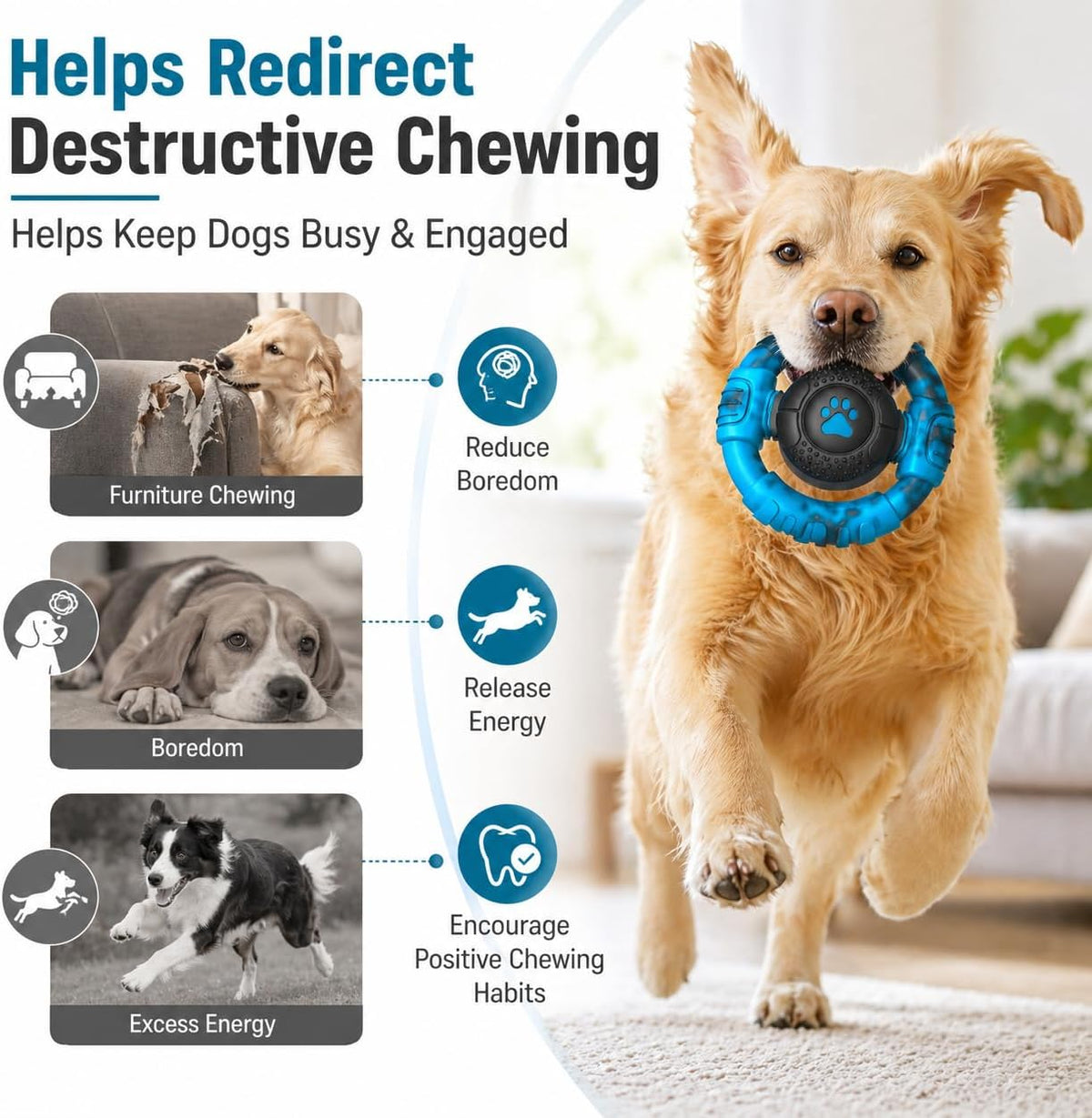Pamlulu Tough Dog Toys for Aggressive Chewers, Indestructible Dog Toy for Large Dogs, Nylon Chew Toys for Medium Large Breed, Interactive Dog Toys to Keep Them Busy, Dog Birthday