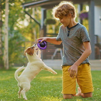 Pamlulu Tough Dog Toys for Aggressive Chewers, Indestructible Dog Toy for Large Dogs, Nylon Chew Toys for Medium Large Breed, Interactive Dog Toys to Keep Them Busy, Dog Birthday