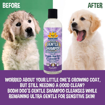 Natural Oatmeal Dog Shampoo & Conditioner - Hypoallergenic Formula - Naturally Deodorize Dogs, Cats & Pets - Moisturizes Dry, Itchy & Sensitive Skin - Made in USA (1 Gallon)