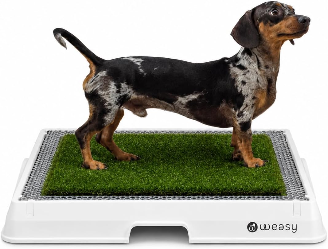 Weasy Indoor Dog Potty Tray for Medium Dogs with Drain Hose | Reusable Dog Toilet | Indoor Potty Training System | Compatible with Weasy Bag - White and Gray - Medium