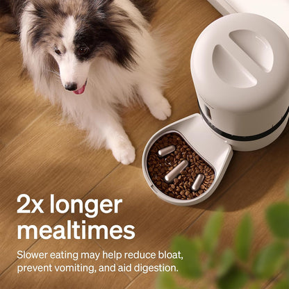 Automatic Cat Feeder, 5G WiFi Automatic Dog Food Dispenser with Freshness Preservation, 5L Timed Pet Feeder with Low Food Sensor, Up to 10 Meals Per Day, Granary Black