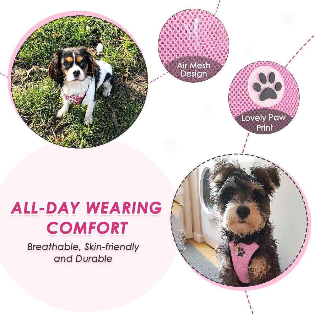 Dog Car Harness Seat Belt, Harness & Seatbelt with 2 in 1 Buckle