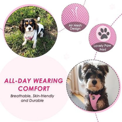 Dog Car Harness Seat Belt, Harness & Seatbelt with 2 in 1 Buckle