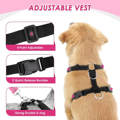 Dog Car Harness Seat Belt, Harness & Seatbelt with 2 in 1 Buckle