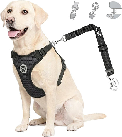 Dog Car Harness Seat Belt, Harness & Seatbelt with 2 in 1 Buckle
