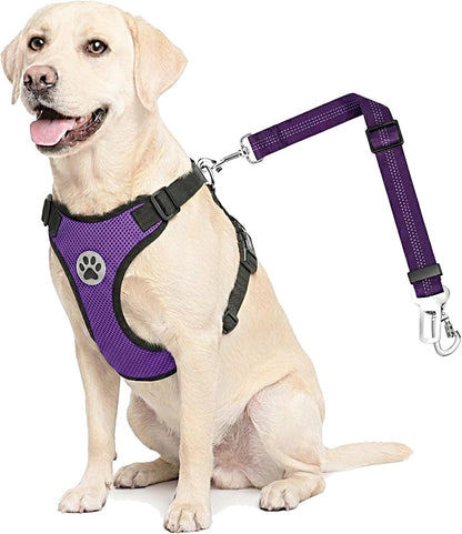 Dog Car Harness Seat Belt, Harness & Seatbelt with 2 in 1 Buckle