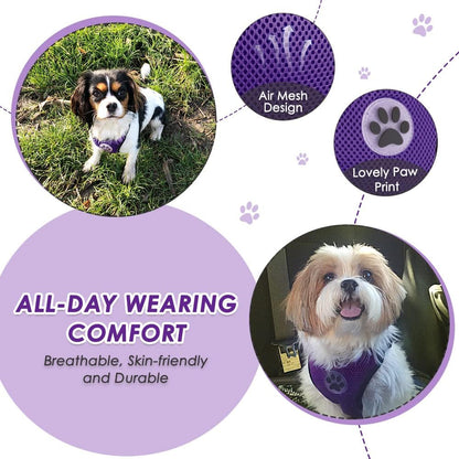 Dog Car Harness Seat Belt, Harness & Seatbelt with 2 in 1 Buckle