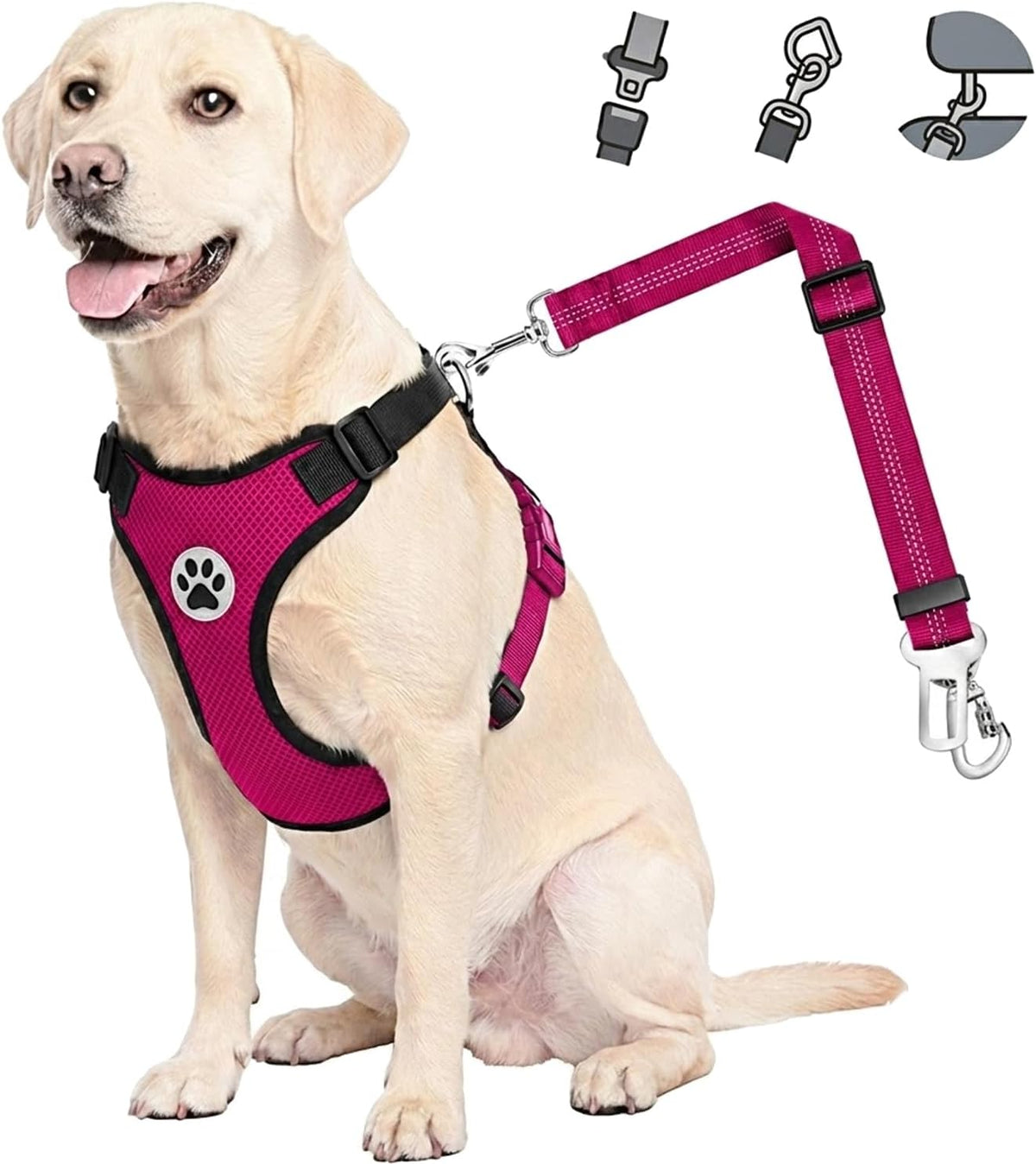 Dog Car Harness Seat Belt, Harness & Seatbelt with 2 in 1 Buckle