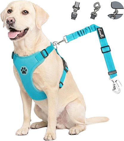 Dog Car Harness Seat Belt, Harness & Seatbelt with 2 in 1 Buckle