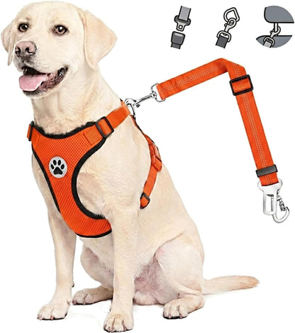 Dog Car Harness Seat Belt, Harness & Seatbelt with 2 in 1 Buckle
