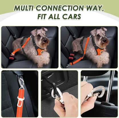Dog Car Harness Seat Belt, Harness & Seatbelt with 2 in 1 Buckle