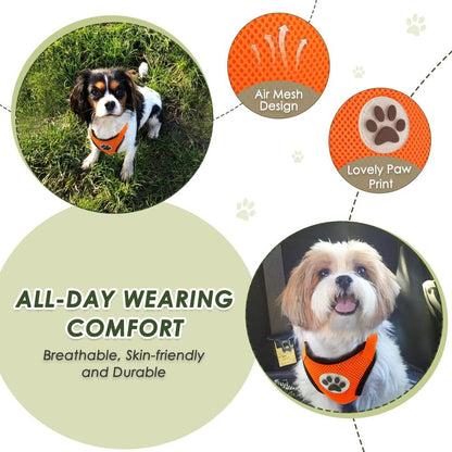 Dog Car Harness Seat Belt, Harness & Seatbelt with 2 in 1 Buckle