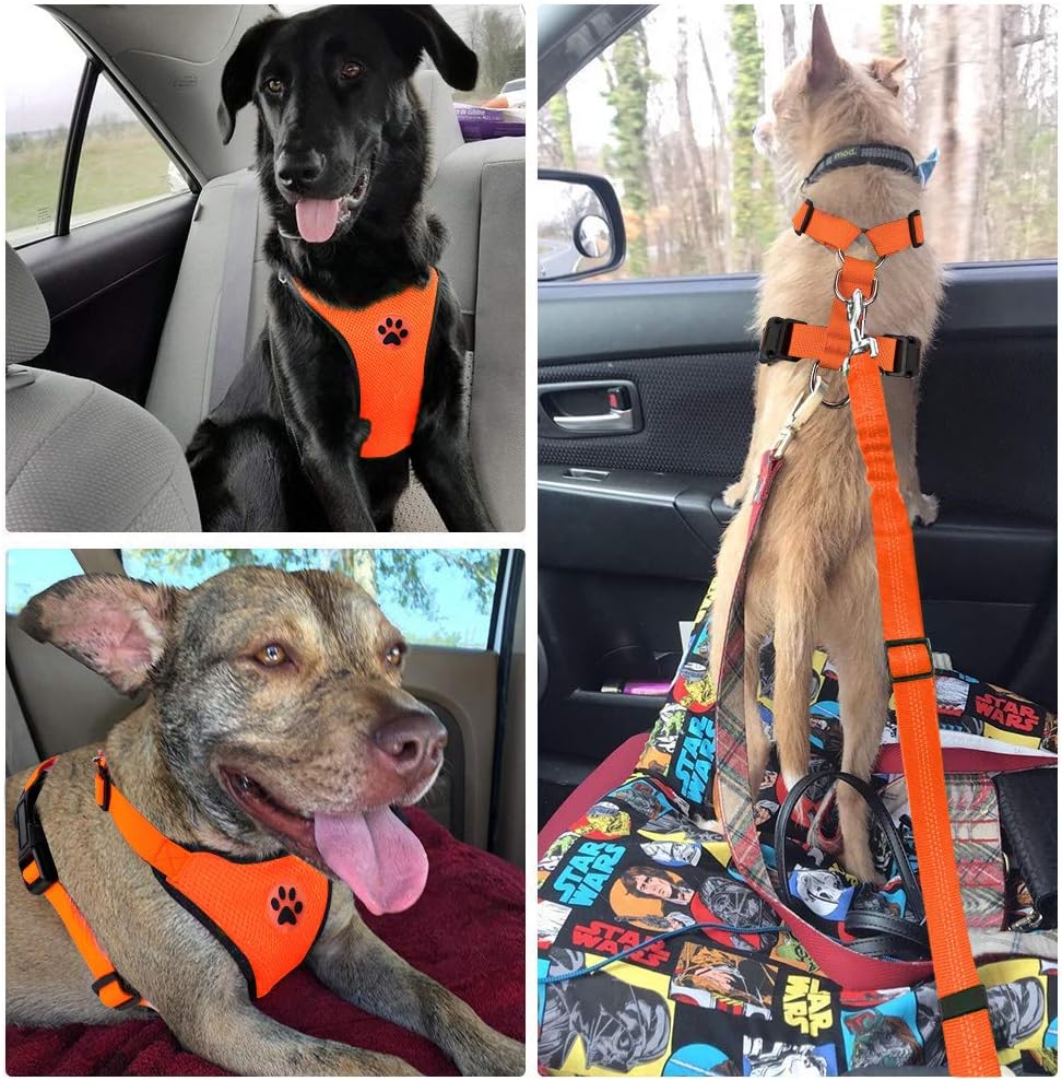 Dog Car Harness Seat Belt, Harness & Seatbelt with 2 in 1 Buckle