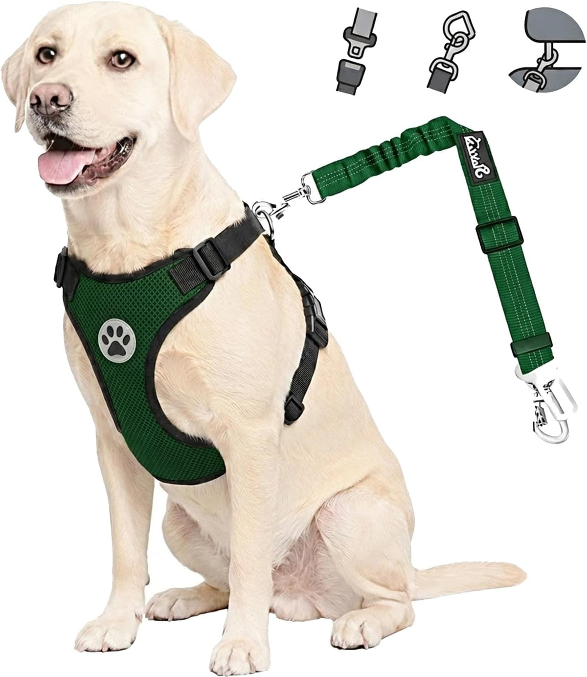 Dog Car Harness Seat Belt, Harness & Seatbelt with 2 in 1 Buckle