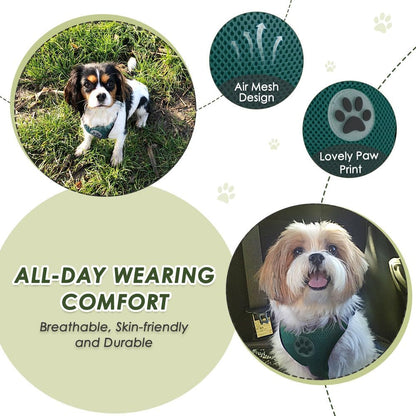 Dog Car Harness Seat Belt, Harness & Seatbelt with 2 in 1 Buckle