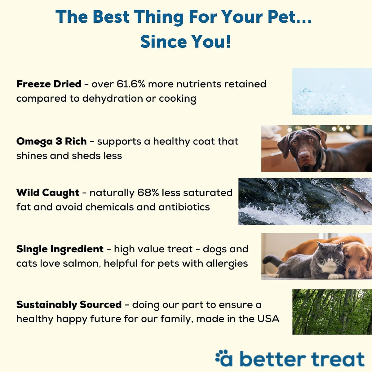 – Freeze Dried Salmon Dog Treats, Wild Caught, Single Ingredient | Natural High Value | Gluten Free, Grain Free, High Protein, Diabetic Friendly | Natural Fish Oil | Made in the USA