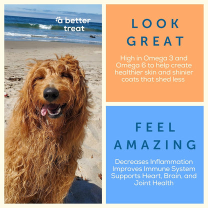 – Freeze Dried Salmon Dog Treats, Wild Caught, Single Ingredient | Natural High Value | Gluten Free, Grain Free, High Protein, Diabetic Friendly | Natural Fish Oil | Made in the USA