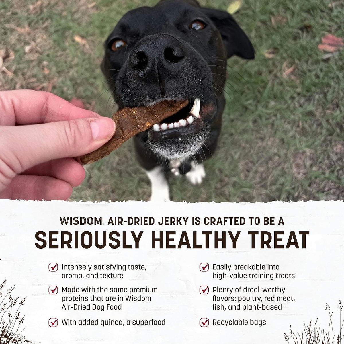 Wisdom Air Dried Jerky - from the Land Recipe - 4 oz Bag