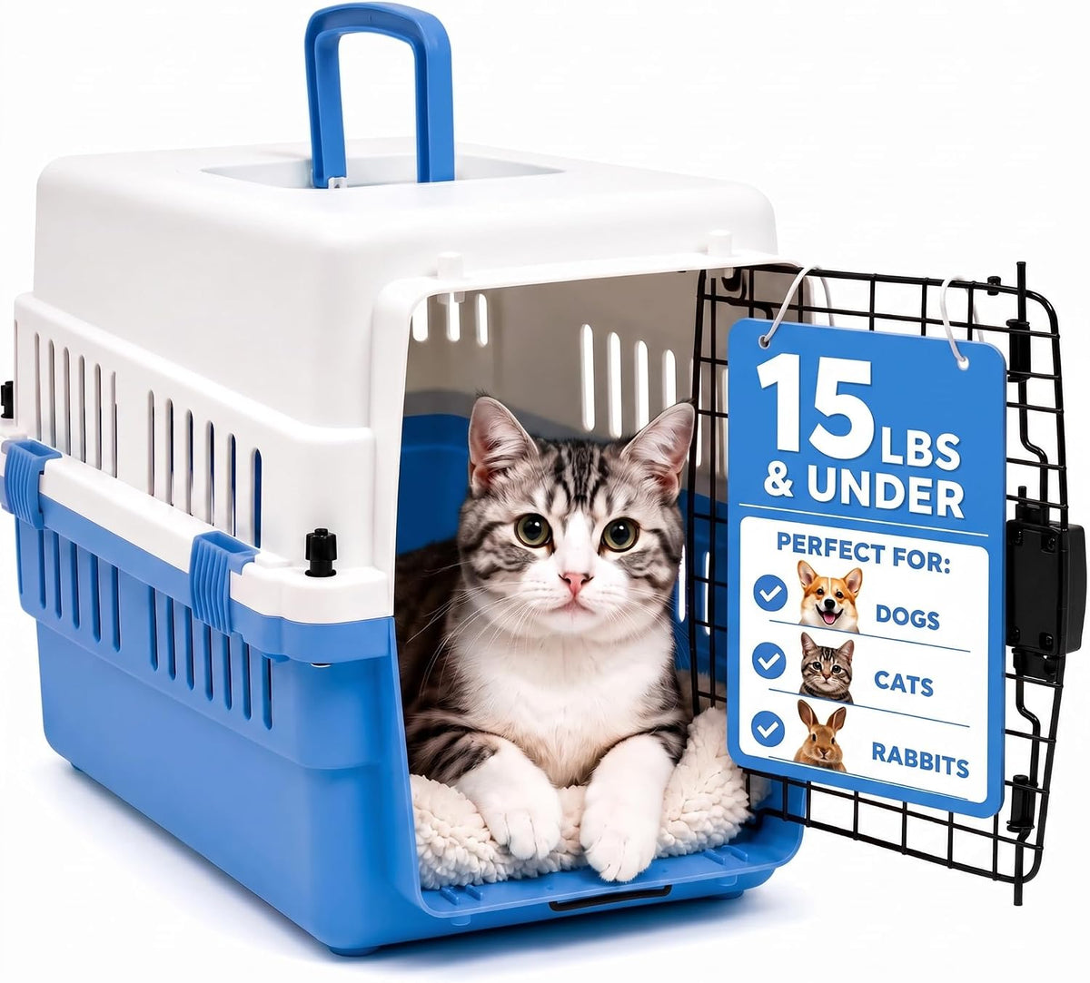 20-Inch Pink Hard Shell Pet Carrier for Small Dogs & Cats Under 15 Lbs