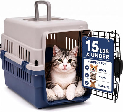 20-Inch Pink Hard Shell Pet Carrier for Small Dogs & Cats Under 15 Lbs