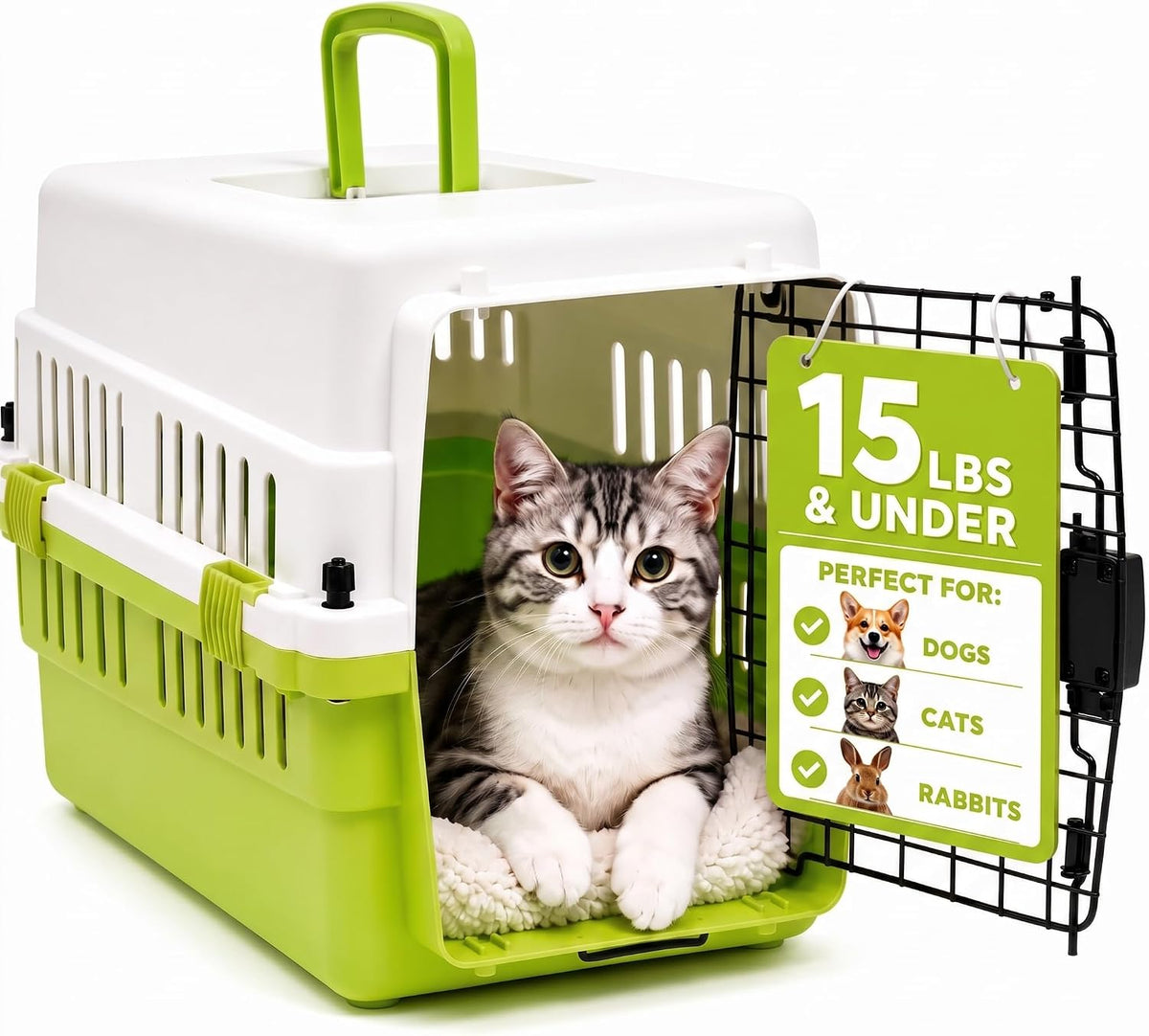 20-Inch Pink Hard Shell Pet Carrier for Small Dogs & Cats Under 15 Lbs