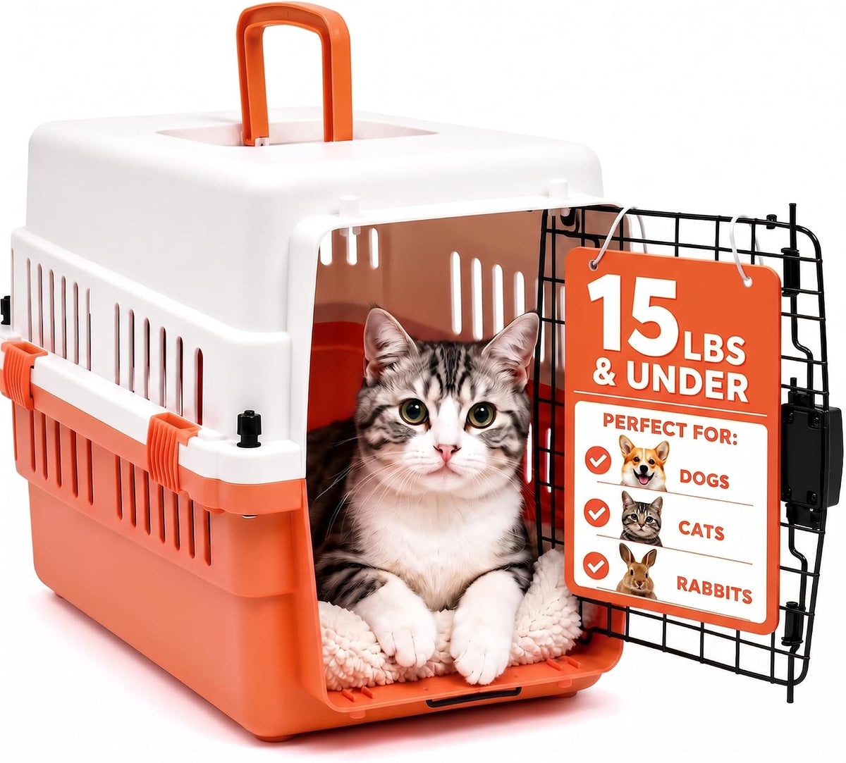 20-Inch Pink Hard Shell Pet Carrier for Small Dogs & Cats Under 15 Lbs