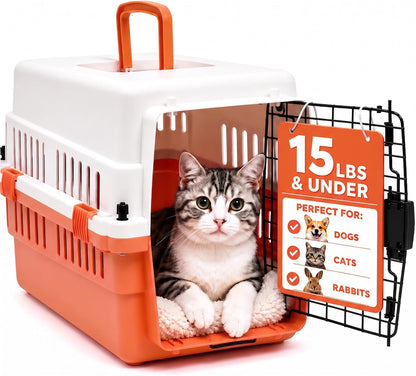 20-Inch Pink Hard Shell Pet Carrier for Small Dogs & Cats Under 15 Lbs