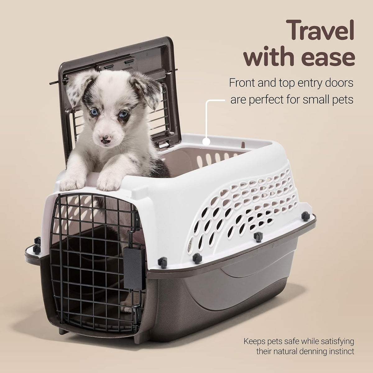 Two Door Plastic Pet Kennel for Small Dogs and Cats, 19in, White