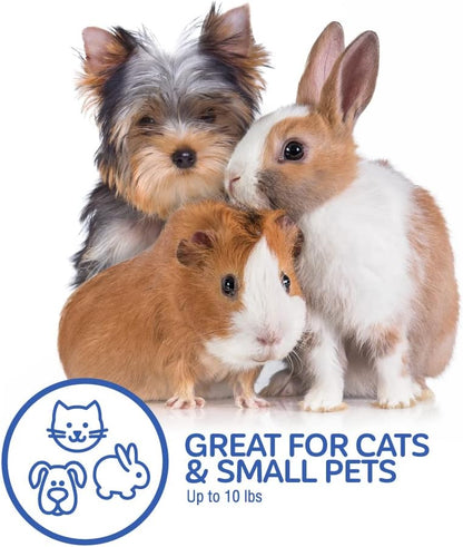 Two Door Plastic Pet Kennel for Small Dogs and Cats, 19in, White