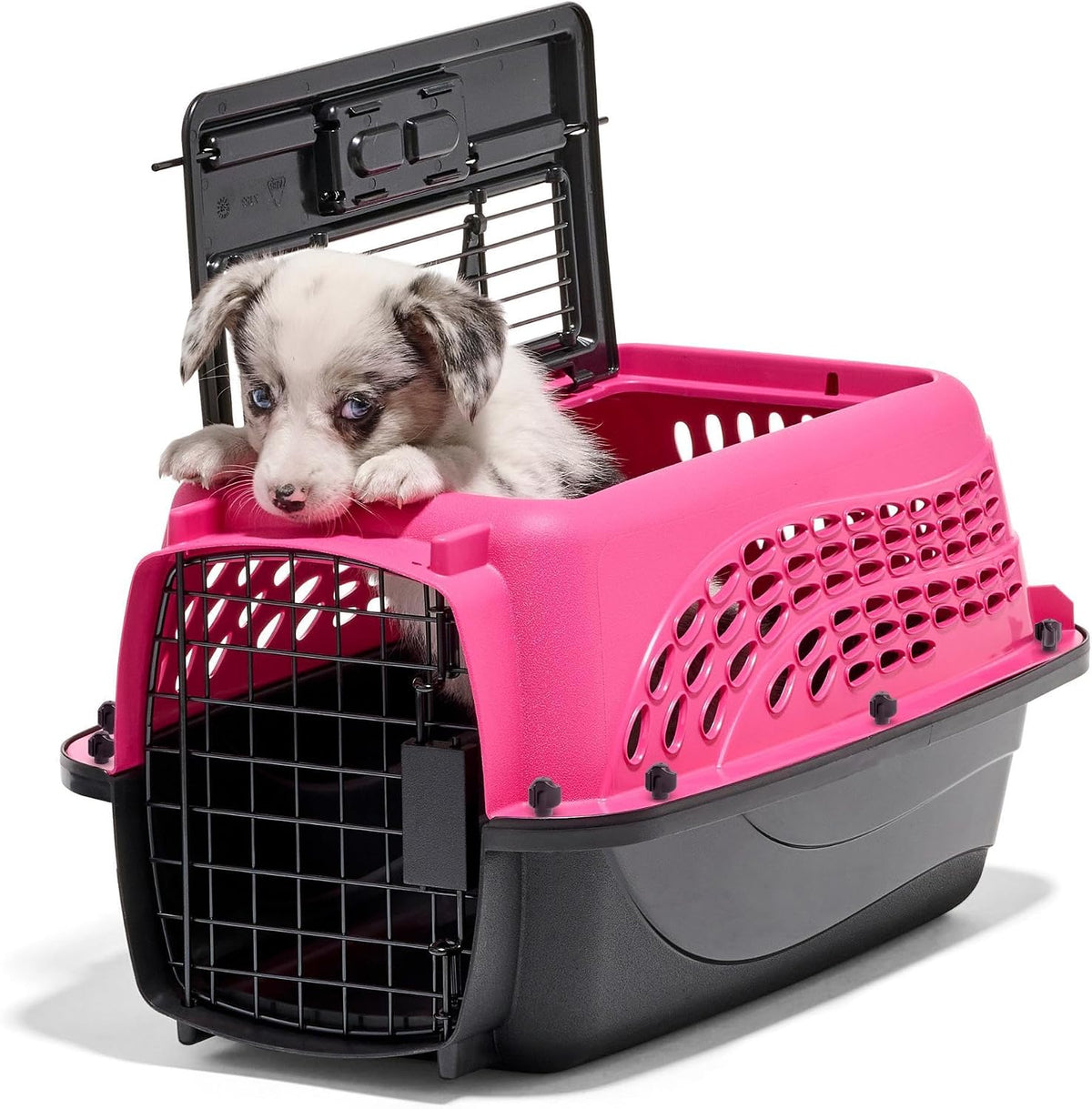 Two Door Plastic Pet Kennel for Small Dogs and Cats, 19in, White