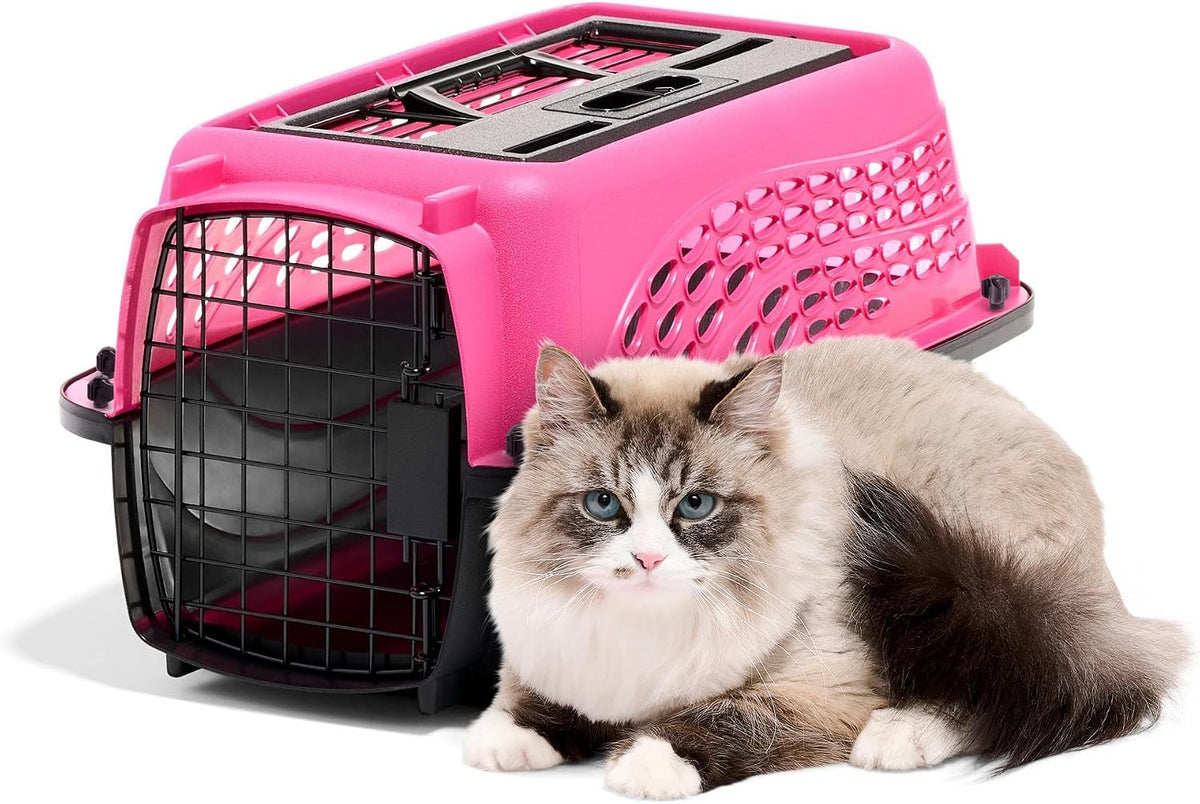 Two Door Plastic Pet Kennel for Small Dogs and Cats, 19in, White