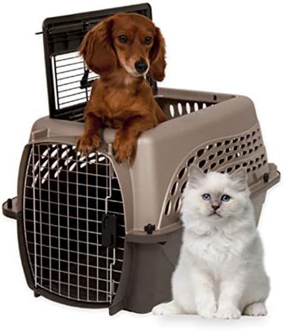 Two Door Plastic Pet Kennel for Small Dogs and Cats, 19in, White