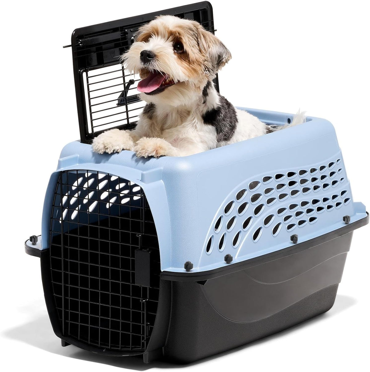 Two Door Plastic Pet Kennel for Small Dogs and Cats, 19in, White
