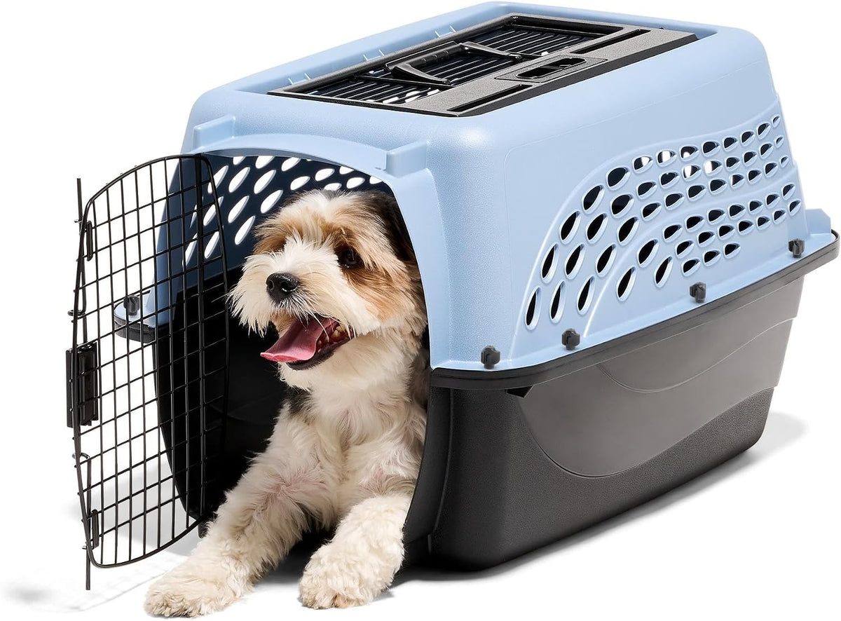Two Door Plastic Pet Kennel for Small Dogs and Cats, 19in, White