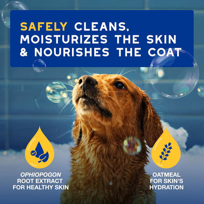 SPA Oatmeal Dog Shampoo, 16 fl oz