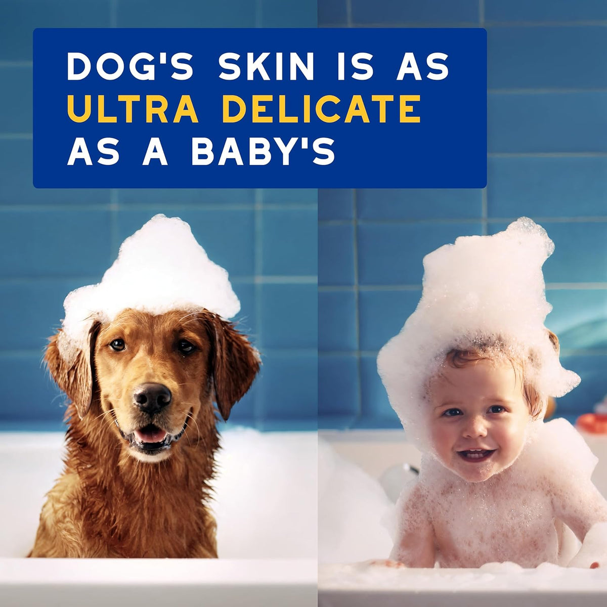 SPA Oatmeal Dog Shampoo, 16 fl oz
