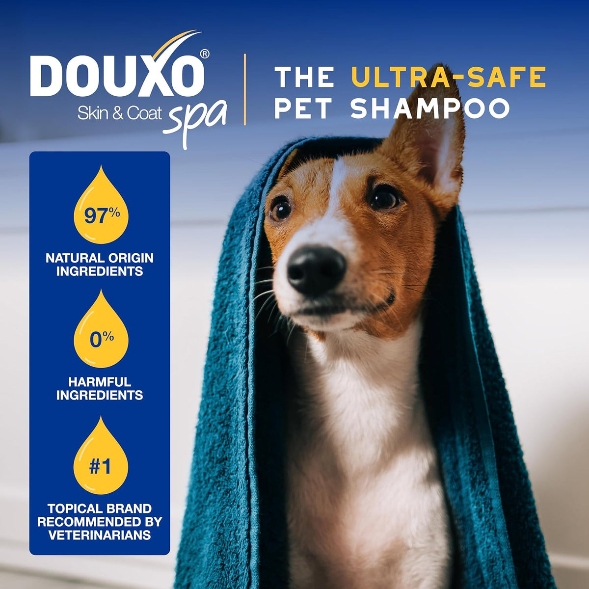 SPA Oatmeal Dog Shampoo, 16 fl oz