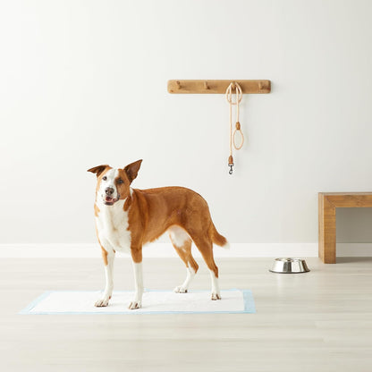 Leak-Proof Dog and Puppy Potty Training Pee Pads with Quick-Dry 5-Layer Surface, Standard Absorbency, Giant Size, 27.5 x 44 Inch, Blue & White, 40-Pack