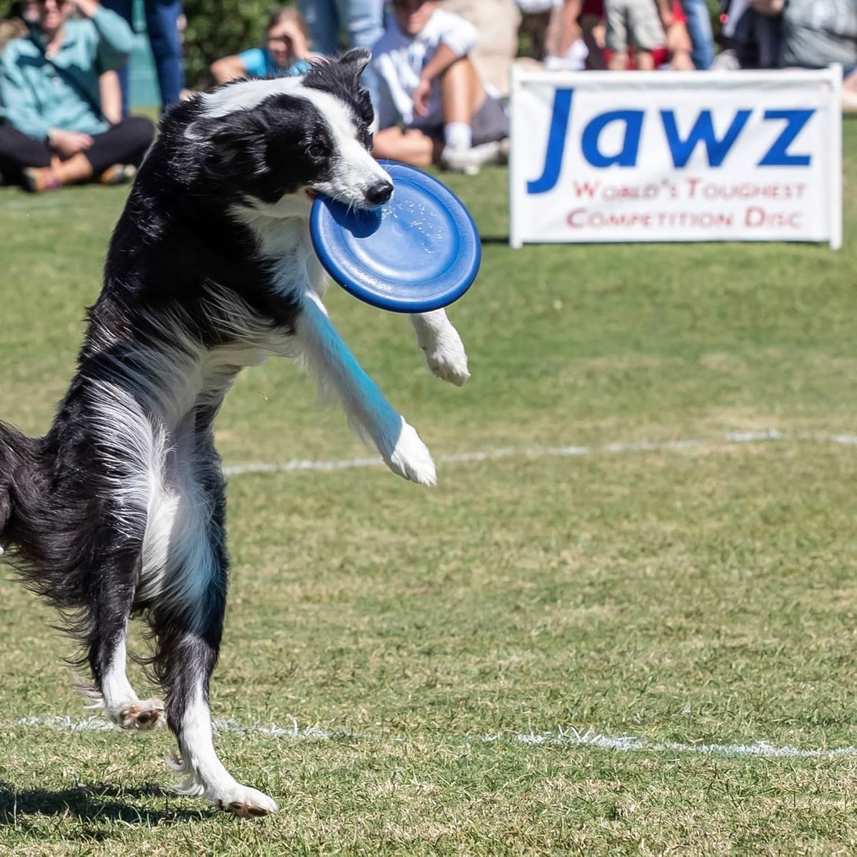 K-10 Jawz Puncture Resistant Dog Flying Disc, Medium-Large
