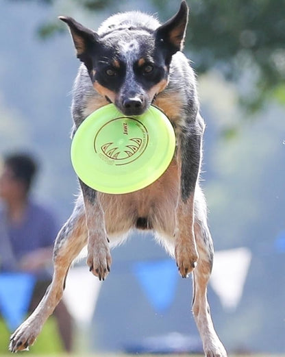 K-10 Jawz Puncture Resistant Dog Flying Disc, Medium-Large
