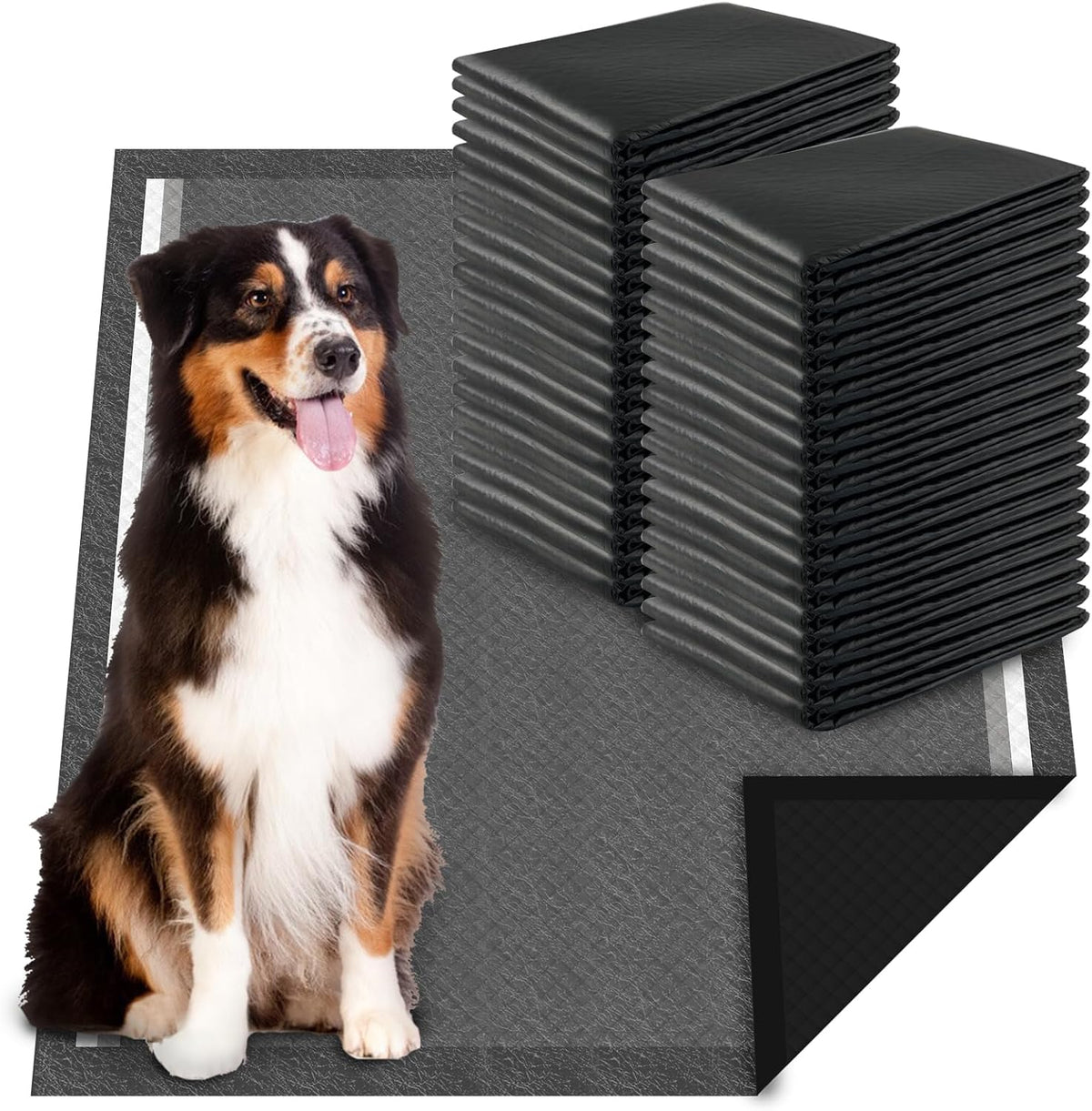 Charcoal Dog Pee Pads Extra Large 28“x34”, Puppy Pads XL 30 Count, Potty Pads for Dogs, Disposable Urine Bed Pads for Odor-Control, X-Large Piddle Underpads, Training Liners for Housebreaking